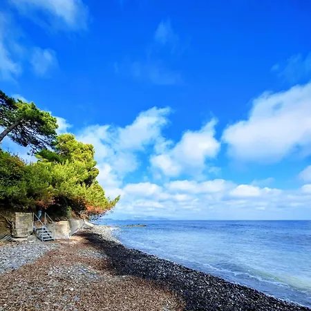 Minnelea Blue Retreat Appartamento